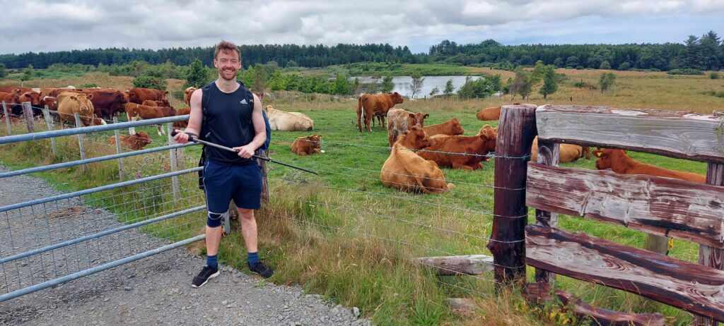 Me and some cows along St. Cuthbert's Way