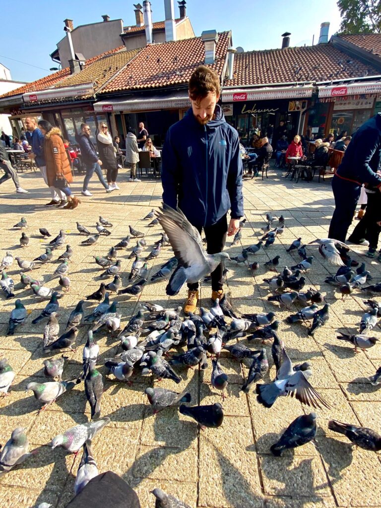 The pigeons of Baščaršija (and me)
